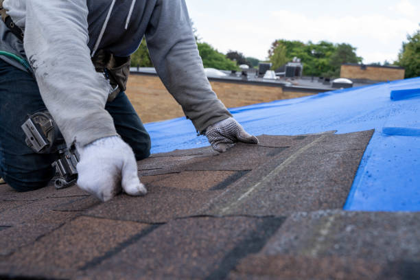 Residential Roof Replacement in Newport, DE