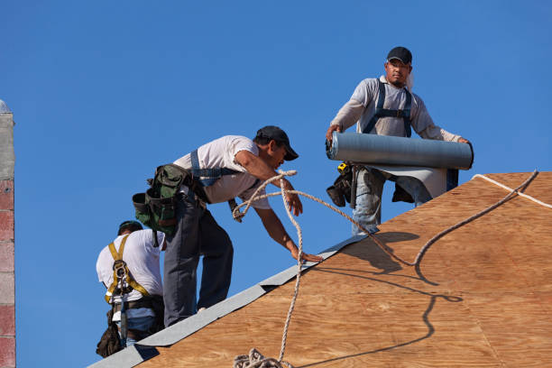 Professional Roofing Contractor in Newport, DE